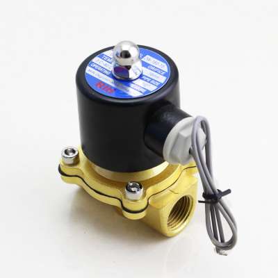 Miniature Micro Mini Type 2W Series 2/2 Way 110V DC 12V 220V 24V 1 2 Inch Water Solenoid Brass Valve 2W160-15