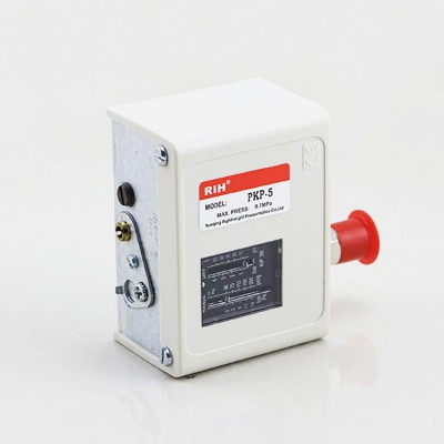 RIH Hot Sell Danfos Type Water Pump Auto Switch RKP35/KP1/KP2/KP5 Pressure Control Switch